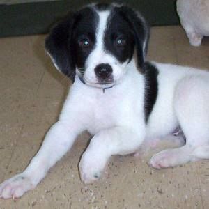 Meet your Posher, Cassi